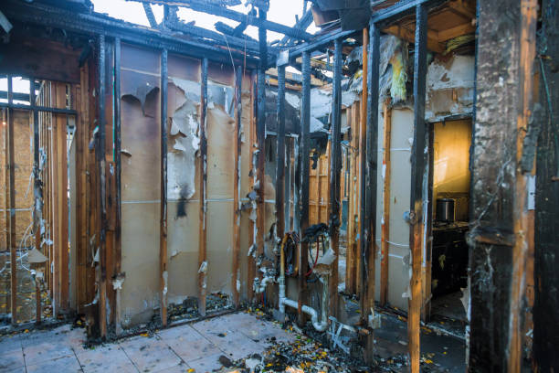 Professional Fire Damage Removal technician working in Laurel, MD